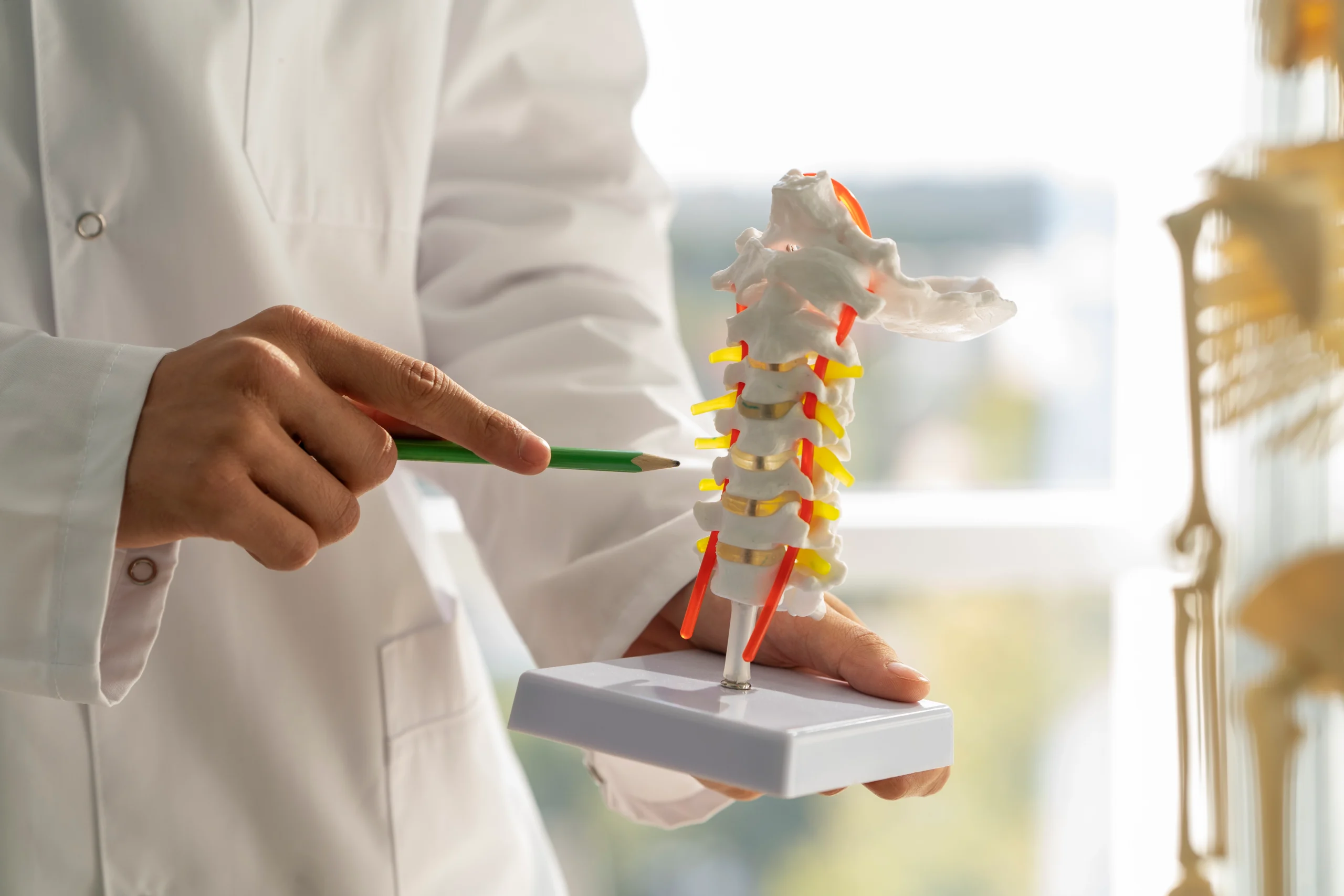 Clinique dr nadjette bouazza service orthopédie & traumatologie chirurgie orthopédique & traumatologique